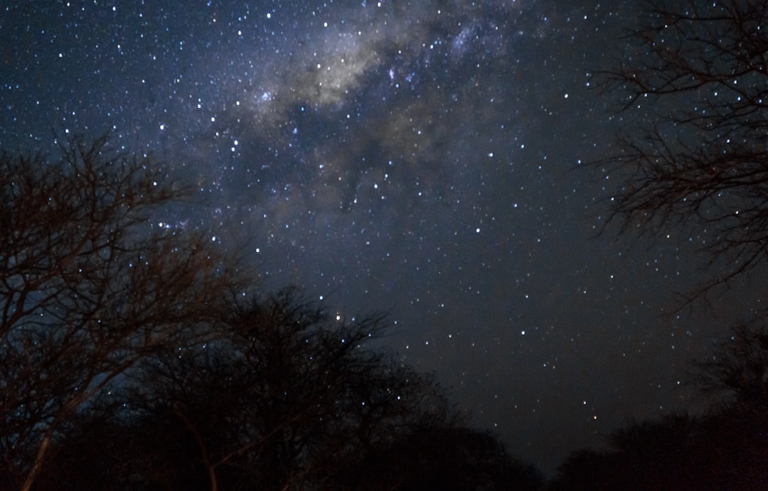 From Ancient Tools to Modern Science (Image Credits: Unsplash)