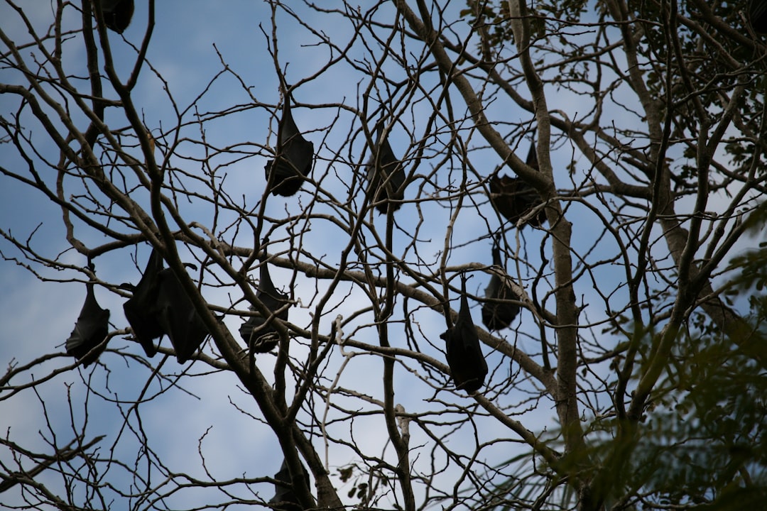 Discovery of Hidden Populations (Image Credits: Unsplash)