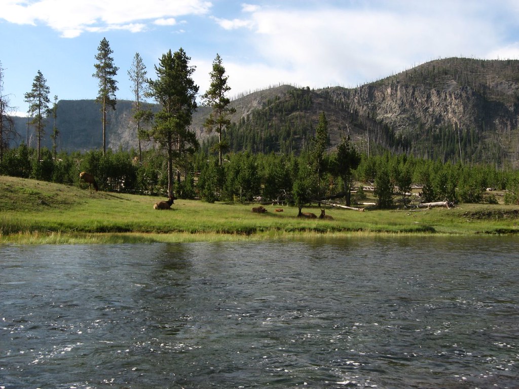 Alternative Stable States Emerge (Image Credits: Flickr)