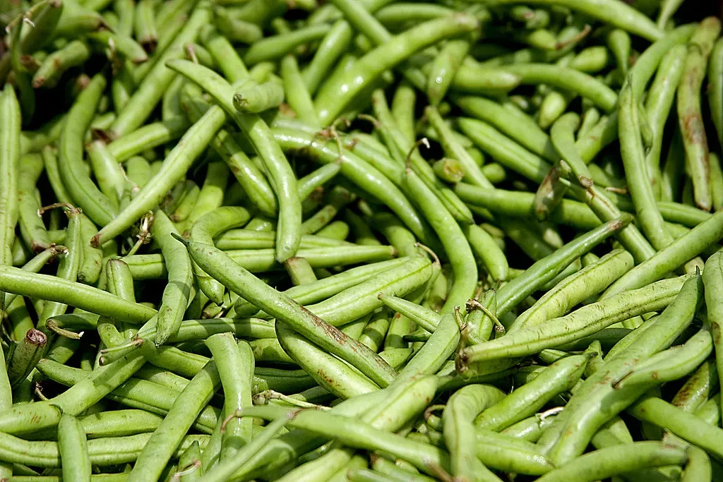 #11 - Beans Were Feeding Their Neighbors the Whole Time (Jimmy_Joe, Flickr, CC BY 2.0)