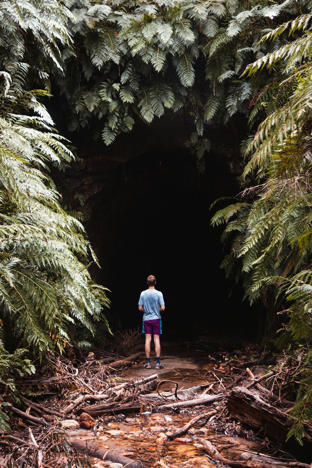 Fragility Underfoot (Image Credits: Unsplash)