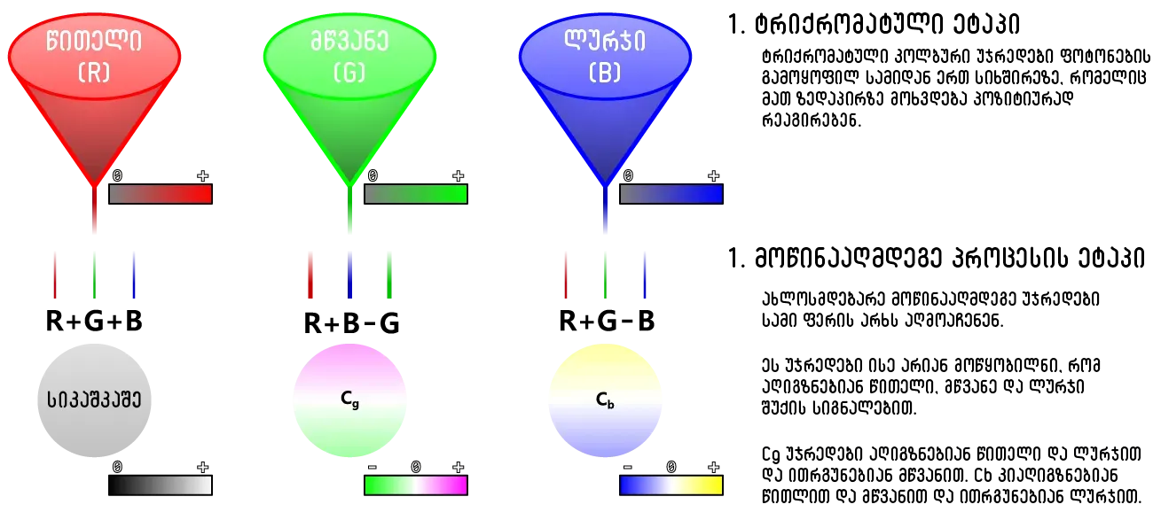 Color, Contrast, and the Grand Illusion of “True” Reality (Image Credits: Wikimedia)