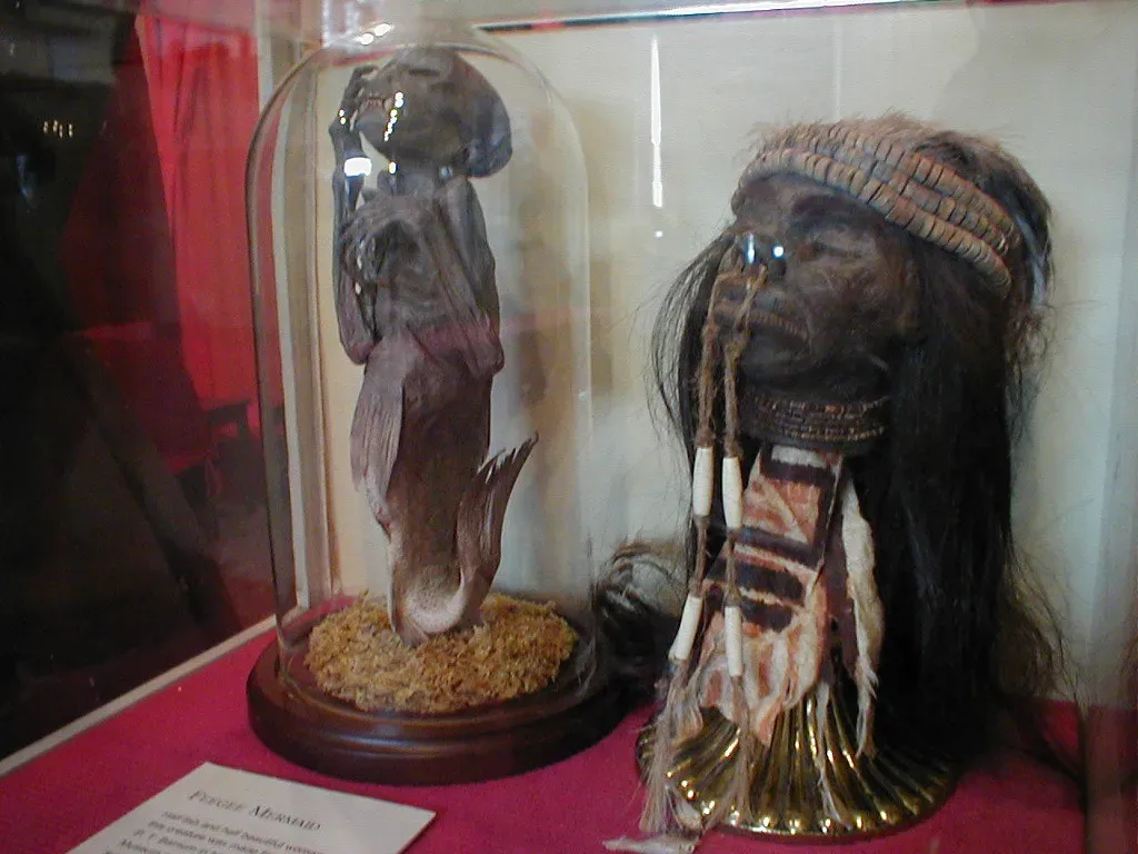 #1 - The Fake Mermaid That Museums Are Finally Willing to Confess (A.M. Kuchling, Flickr, CC BY 2.0)