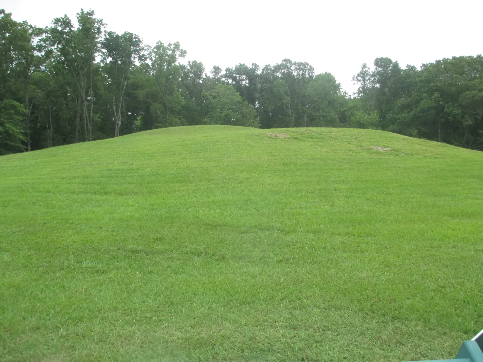 7. Poverty Point: Louisiana’s earthworks that redrew ideas of “simple” hunter‑gatherers (By Billy Hathorn, CC BY-SA 3.0)