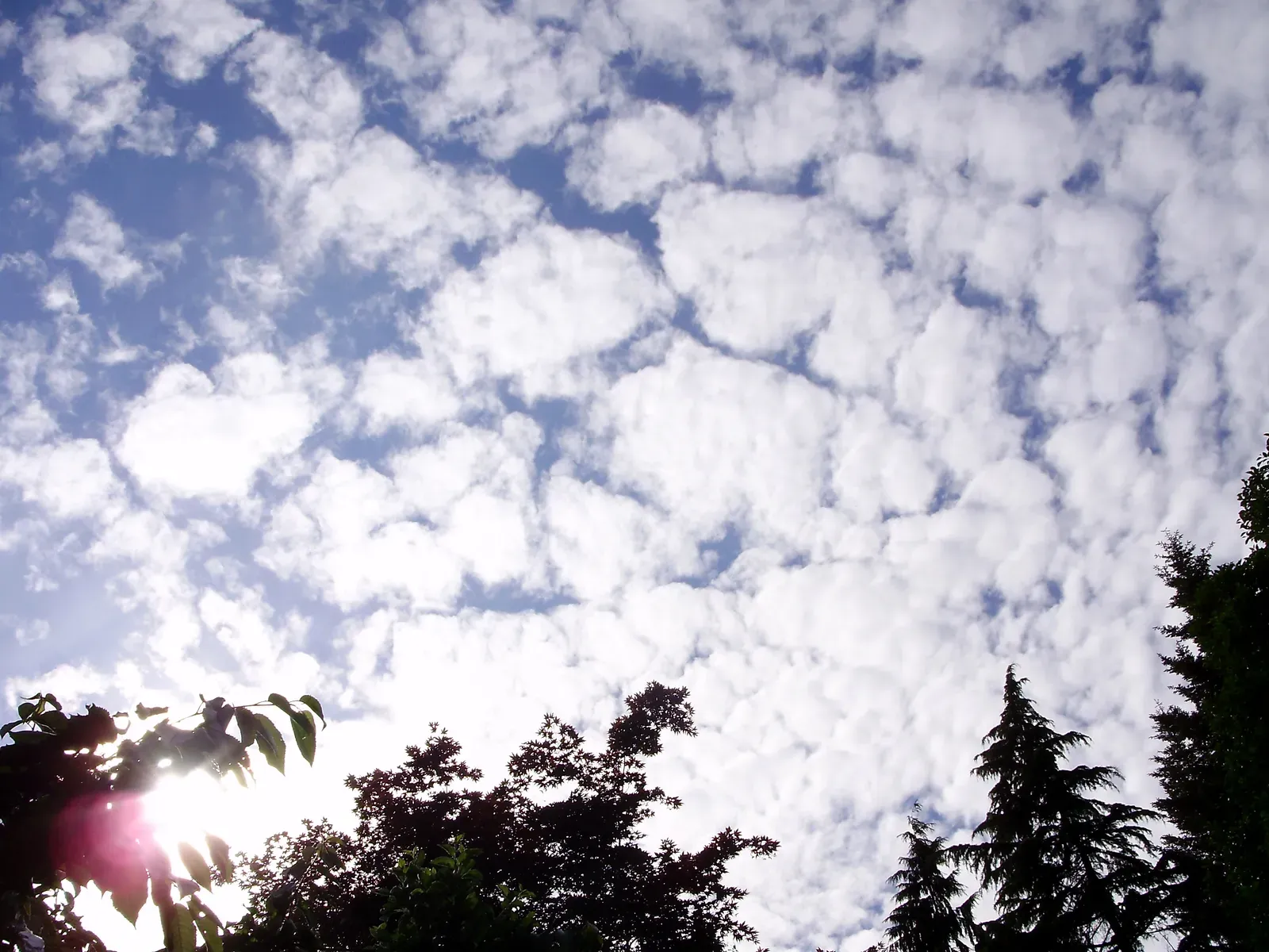 #3 - Mackerel Sky, Mackerel Sky, Never Long Wet, Never Long Dry (Self-photographed, CC BY-SA 3.0)
