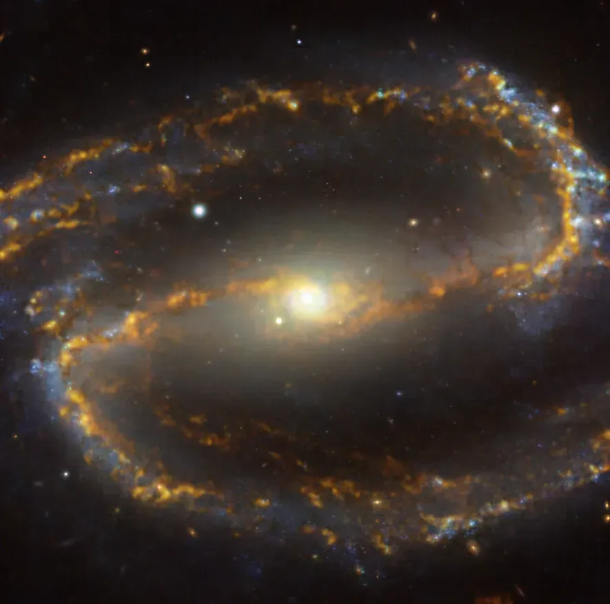 5. Odd Radio Circles: Giant Cosmic Rings Nobody Was Expecting (This media was produced by the European Southern Observatory (ESO), under the identifier potw2202a
This tag does not indicate the copyright status of the attached work. A normal copyright tag is still required. See Commons:Licensing., CC BY 4.0)