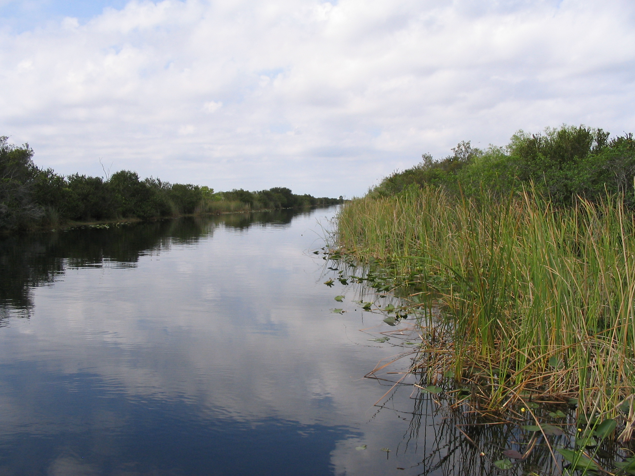 Everglades, Florida: Replumbing a River of Grass (Image Credits: Wikimedia)