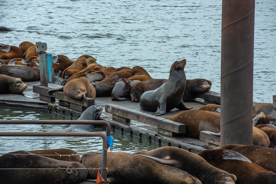 Predators at the Pinch Points (Image Credits: Unsplash)