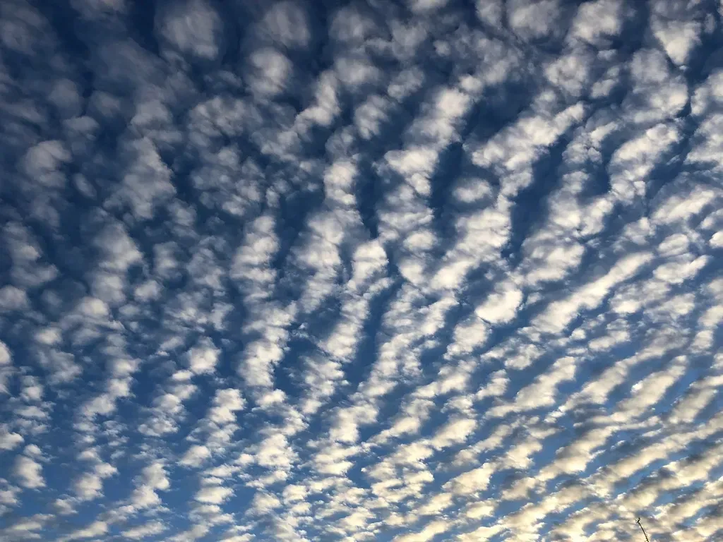 #10 - Altocumulus ("Mackerel Sky") (Image Credits: Rawpixel)