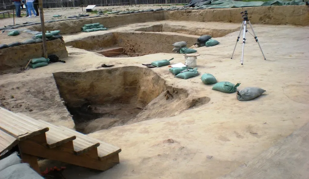 2. Cactus Hill (Virginia, USA): An Unexpected Challenge in the East (Image Credits: Wikimedia)