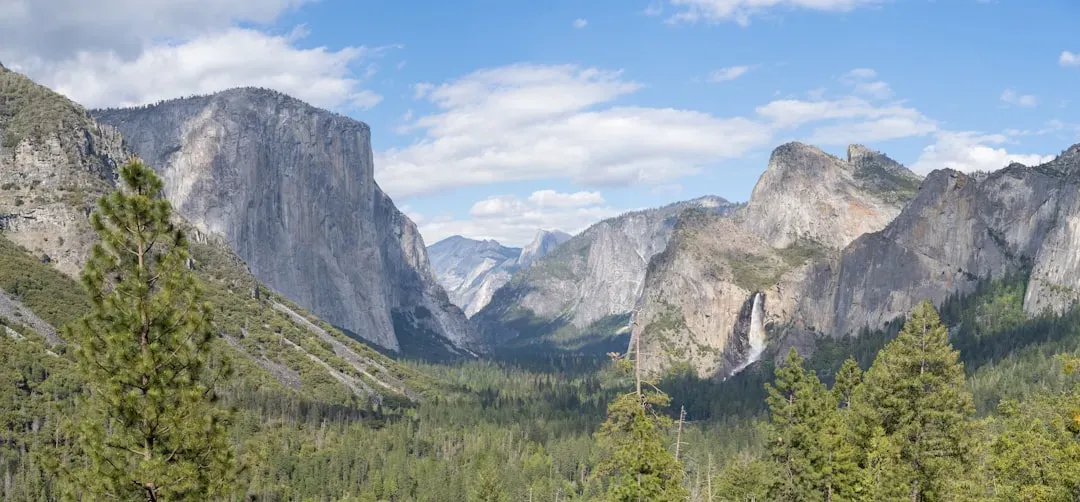 3. The Unresolved Disappearance of Theodosia “Theo” Lynn Krumpen in Yosemite (Image Credits: Unsplash)