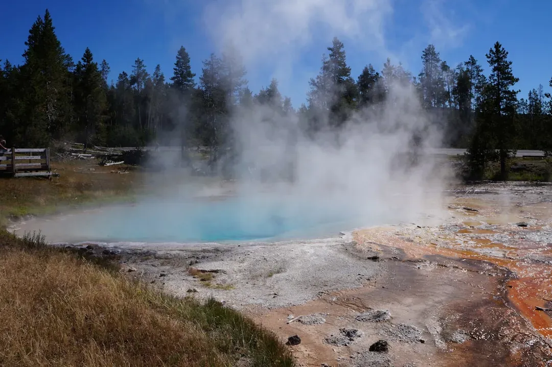 7. Yellowstone's Hot Springs: Life That Loves Boiling Water (Image Credits: Unsplash)