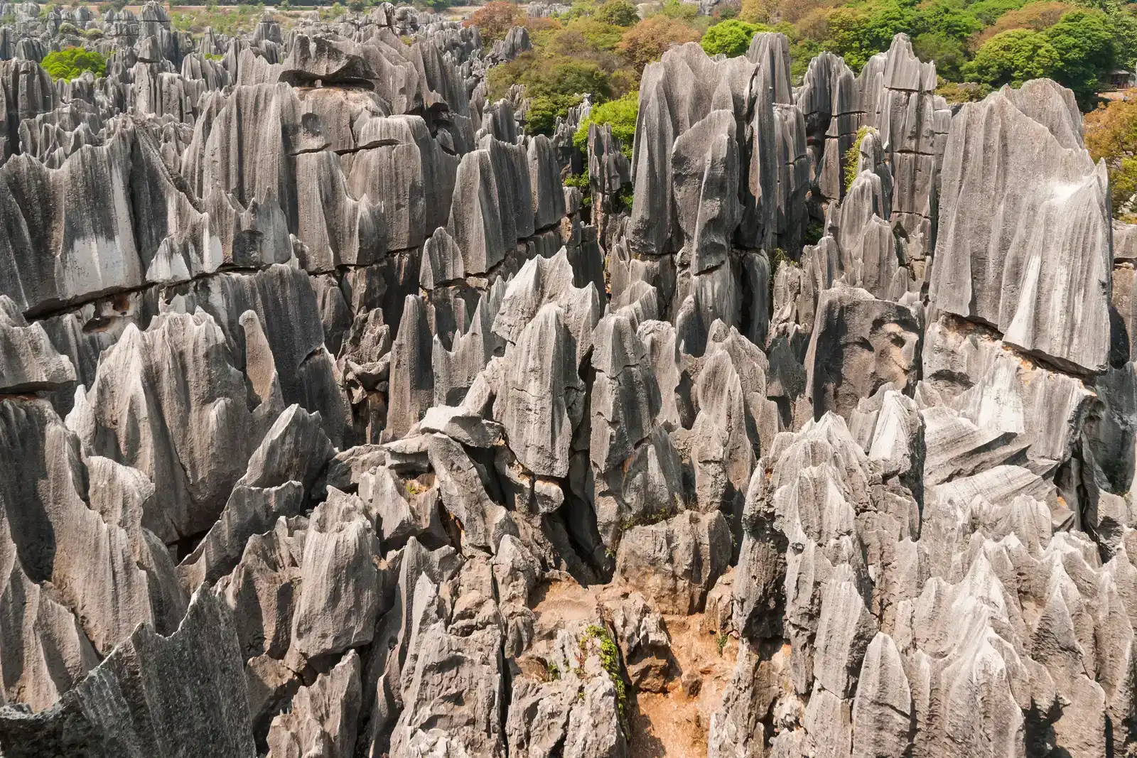 Stone Forests That Grow Like Living Crystals (Image Credits: Wikimedia)