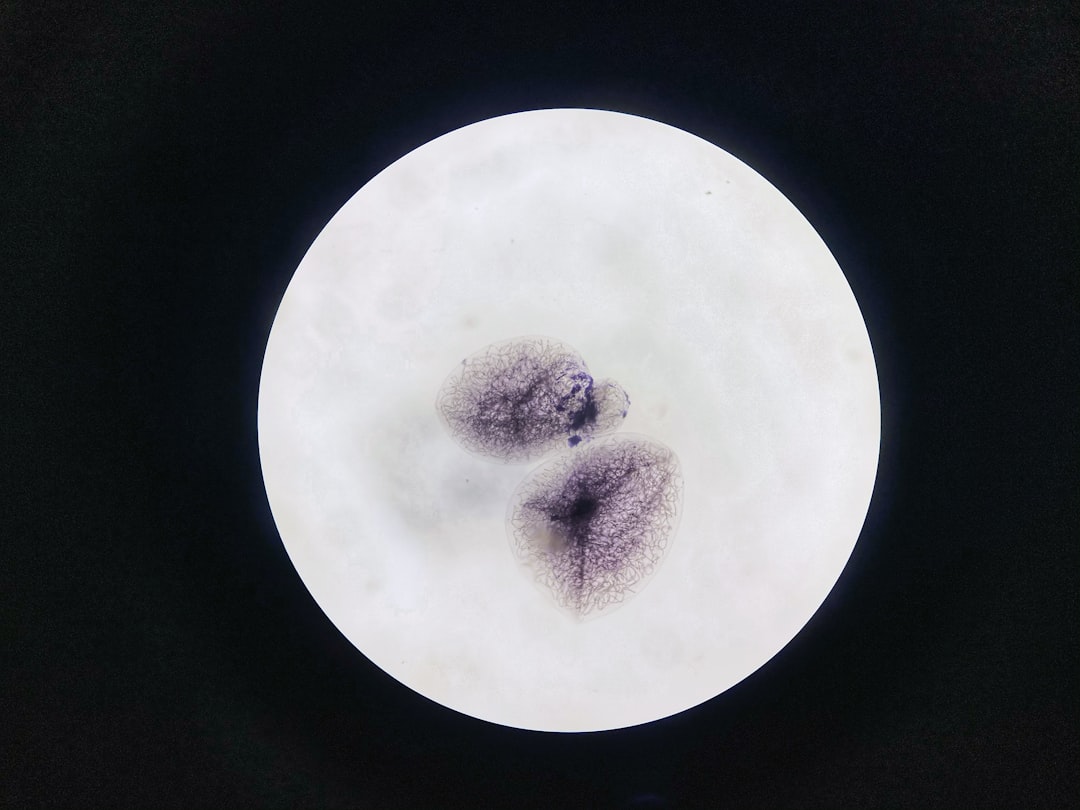 Detection and Future Research (Image Credits: Unsplash)
