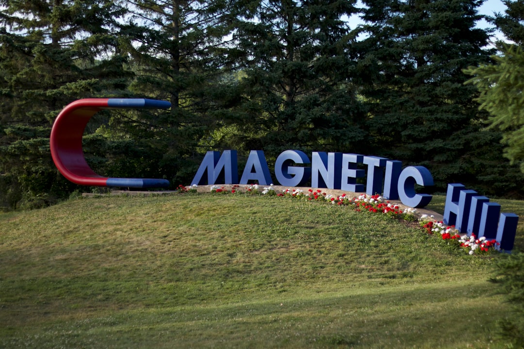 Moncton Magnetic Hill in Canada (Image Credits: Unsplash)