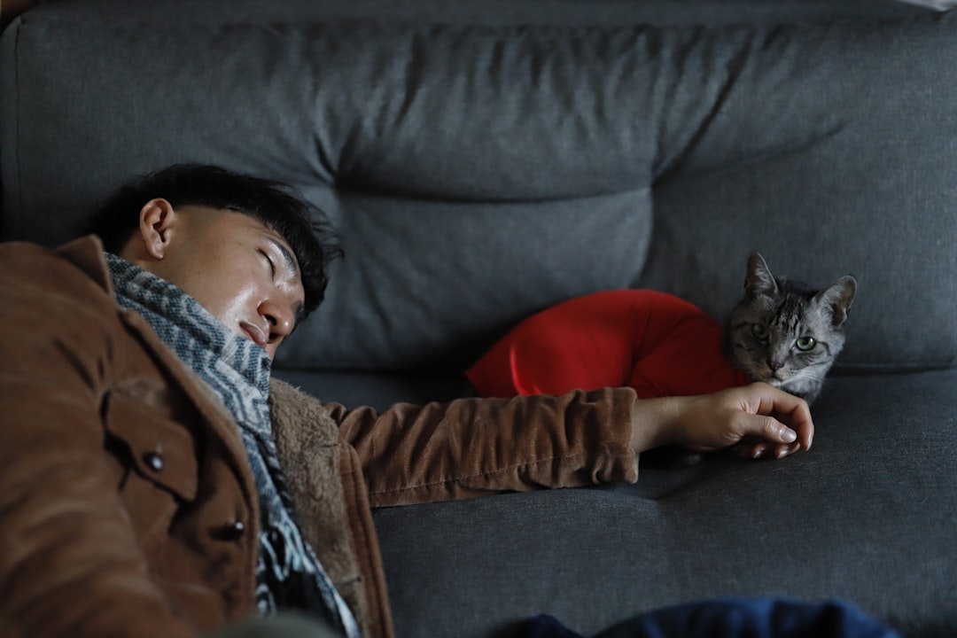 You Seek Comfort and Security (Image Credits: Unsplash)