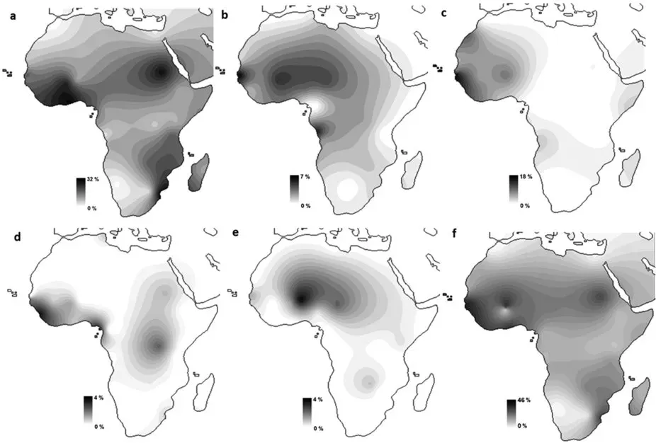 The Hidden Clues Written in Our DNA (Image Credits: Wikimedia)