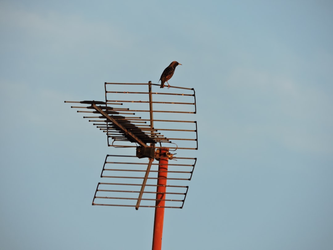 The Future Landscape (Image Credits: Unsplash)