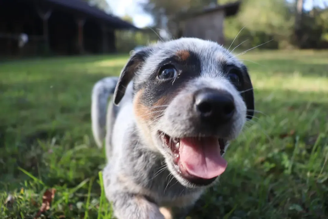 From Ancient Fires to MRI Scanners: A Co‑Evolution Story (Image Credits: Unsplash)