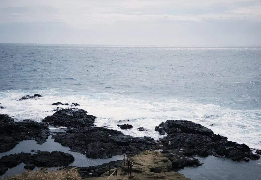 The Formation of Earth’s First Crust and Oceans (Image Credits: Unsplash)