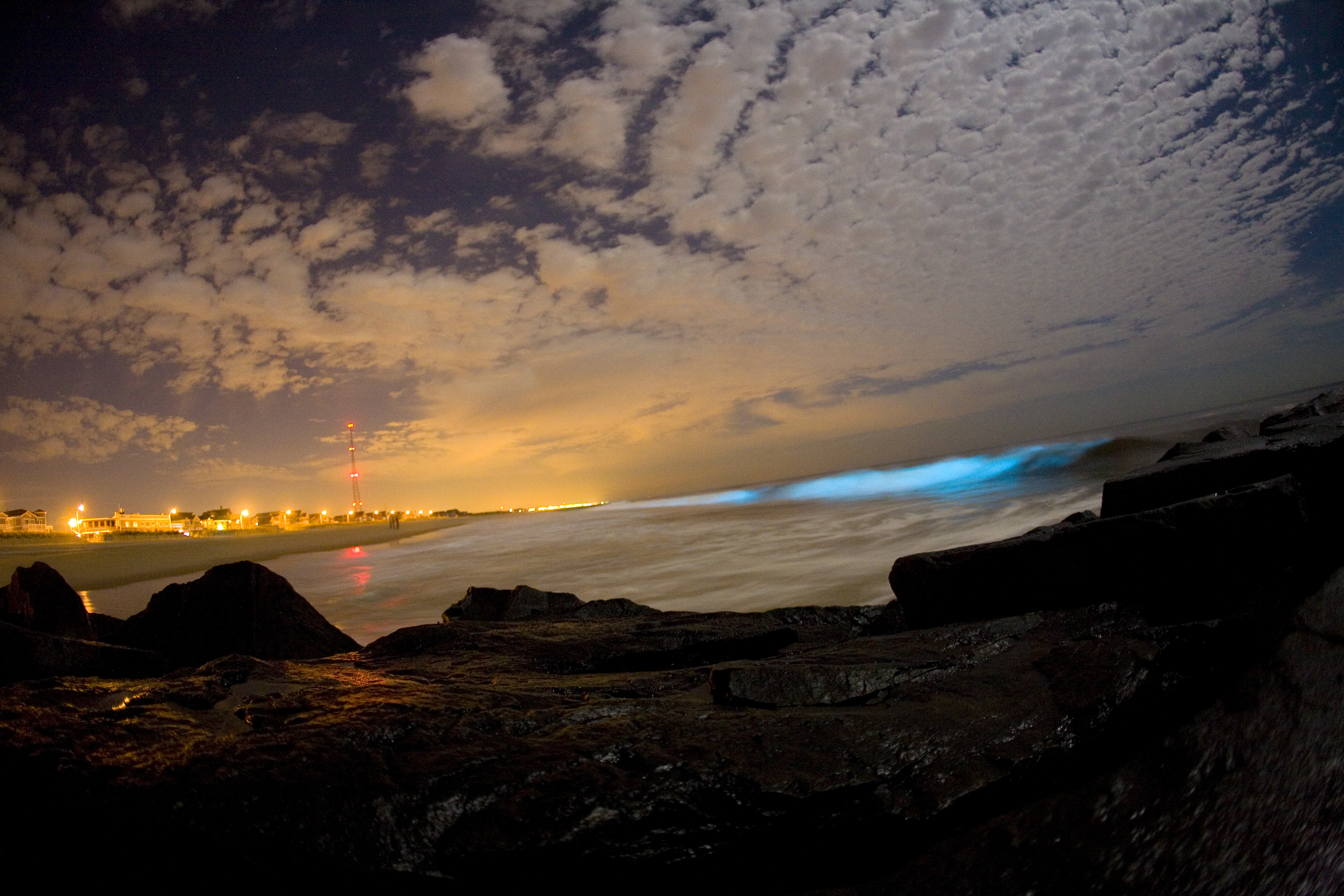 Photography Challenges and Tips (Image Credits: Wikimedia)