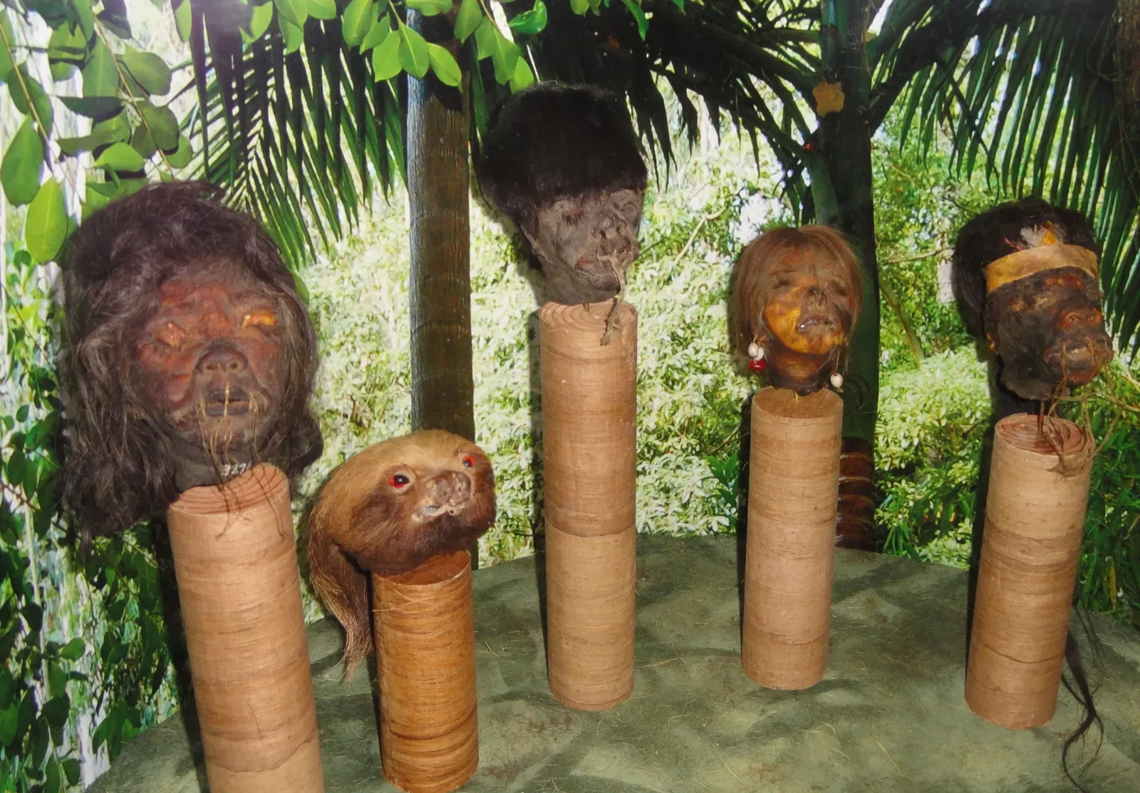 #1 - The Shrunken Heads of Pitt Rivers Museum (By Daderot, CC0)