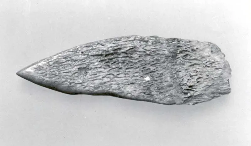 #11 - The Bone Tool That Fits No Known Job (This file was donated to Wikimedia Commons as part of a project by the Metropolitan Museum of Art. See the Image and Data Resources Open Access Policy, CC0)
