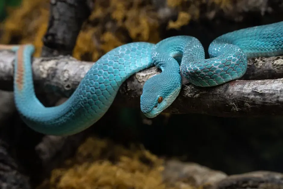 8. Pit Viper: Seeing the World in Heat (Image Credits: Pexels)