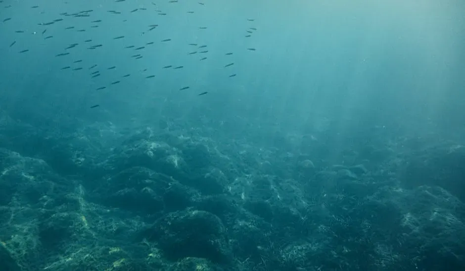 Zombie Worms and Bone Eaters: Feasting on the Rare Dead (Image Credits: Pexels)