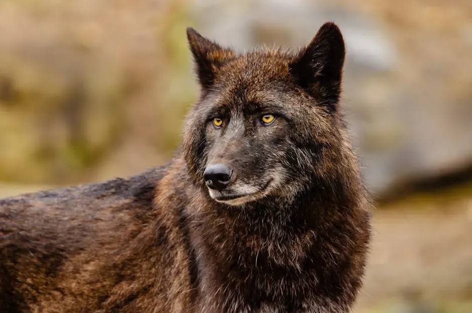 Leadership, Authority, And Quiet Strength (Image Credits: Pexels)