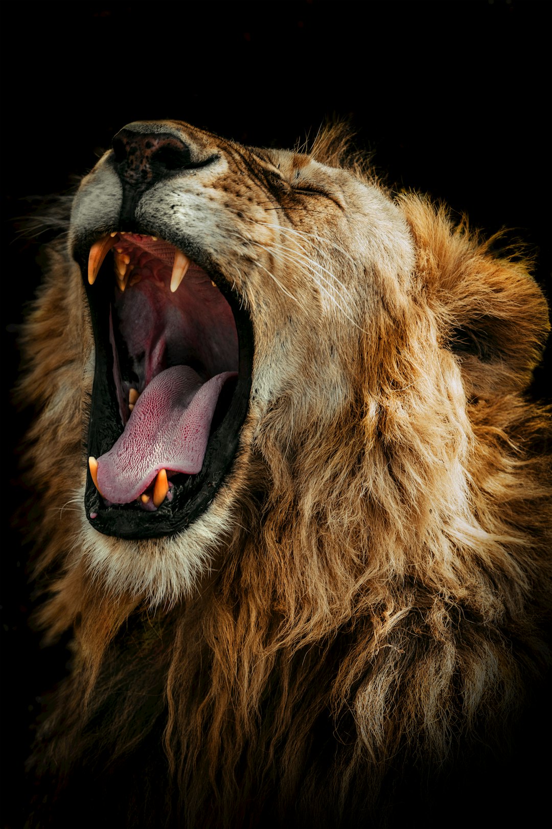 Anatomy of Power (Image Credits: Unsplash)