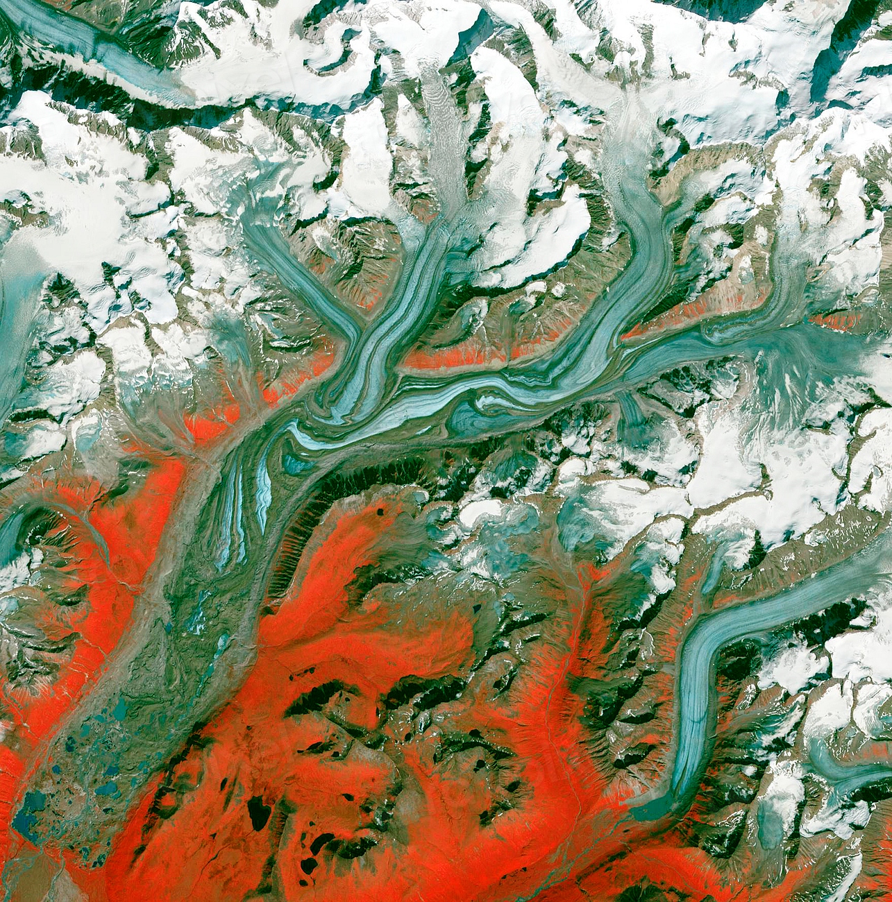 From Ancient Tools to Modern Science (Image Credits: Rawpixel)