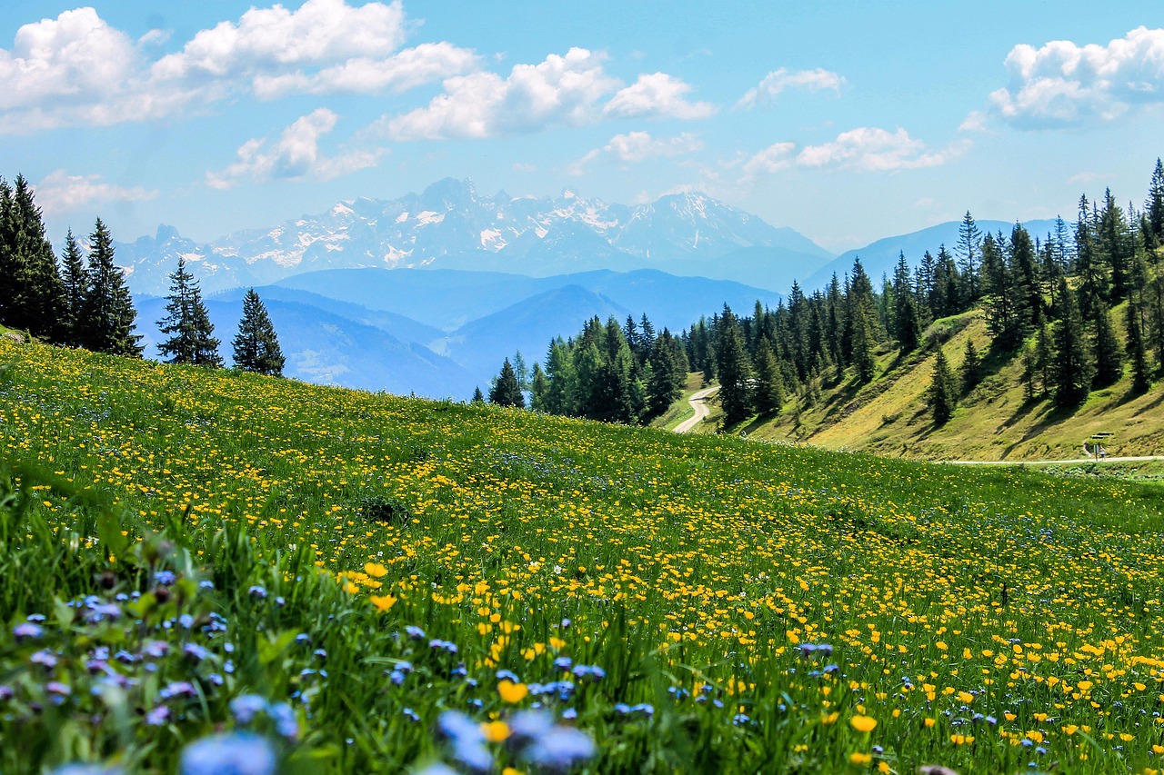Virgo - The Pristine Mountain Meadow (Image Credits: Pixabay)