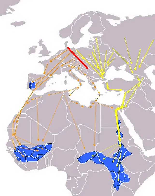 Why These Migrations Matter More Than Ever (Image Credits: Wikimedia)