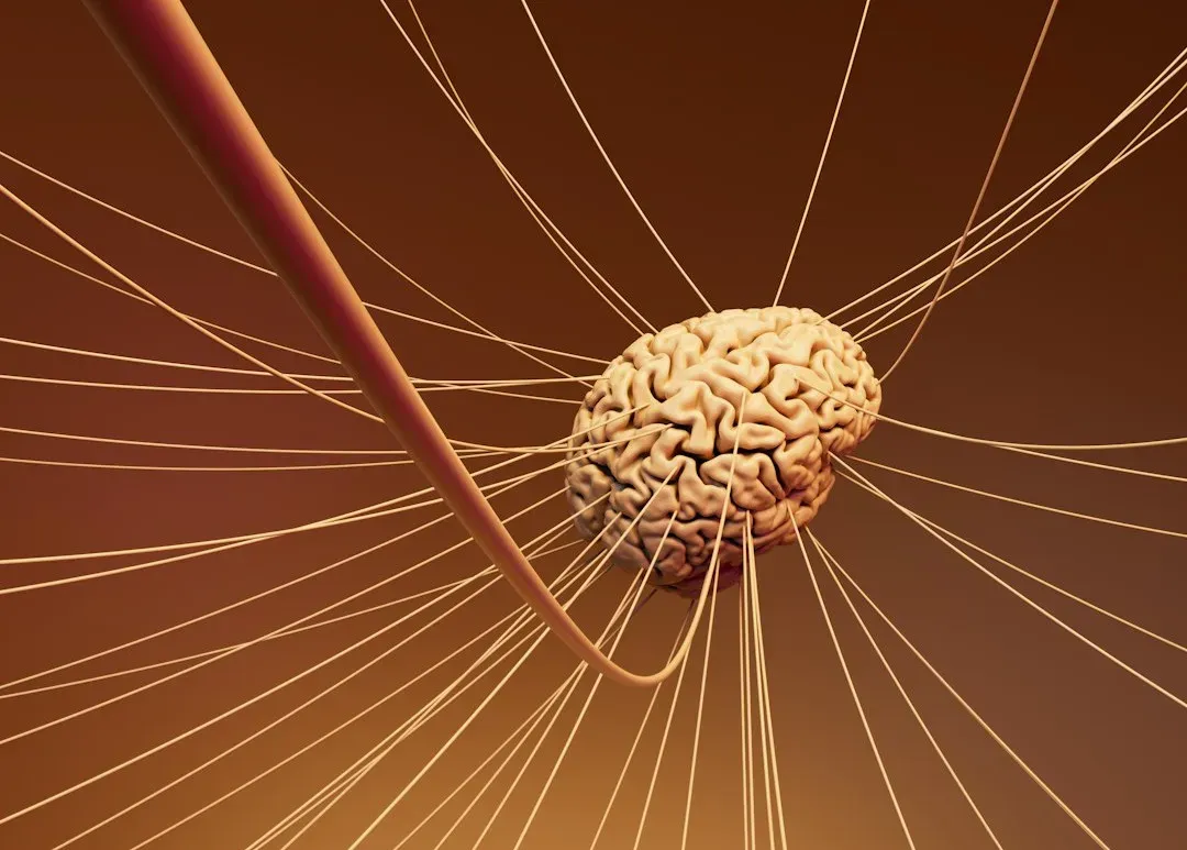 Are Our Brains Quantum Devices? The Microtubule Hypothesis (Image Credits: Unsplash)