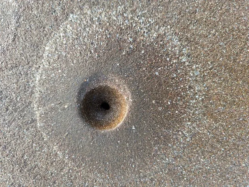 #9 Perfect Circular “Holes” In Otherwise Flat Sediment (Image Credits: Pexels)
