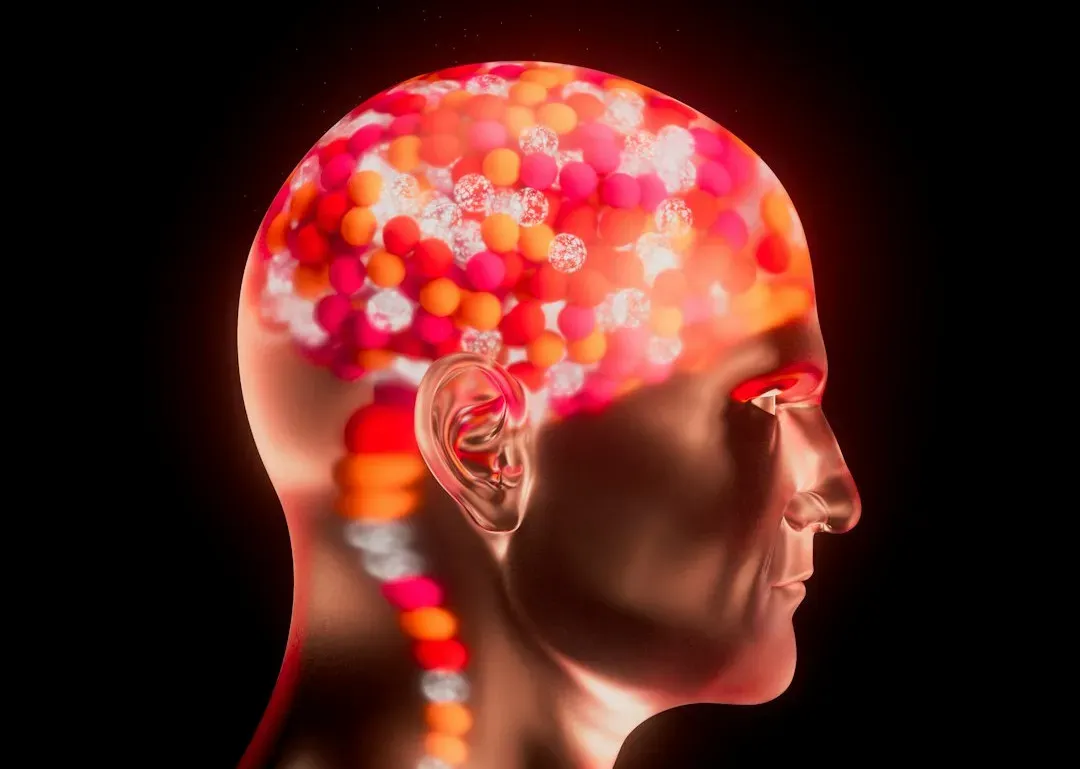 The Gut–Brain Connection: Mood, Stress, and Microbes (Image Credits: Unsplash)