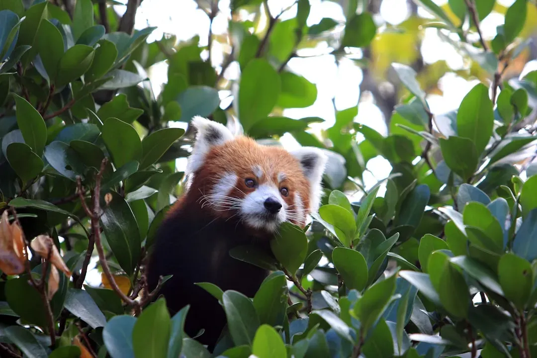 Winners, Losers, and Uncomfortable Surprises in a Warming World (Image Credits: Unsplash)