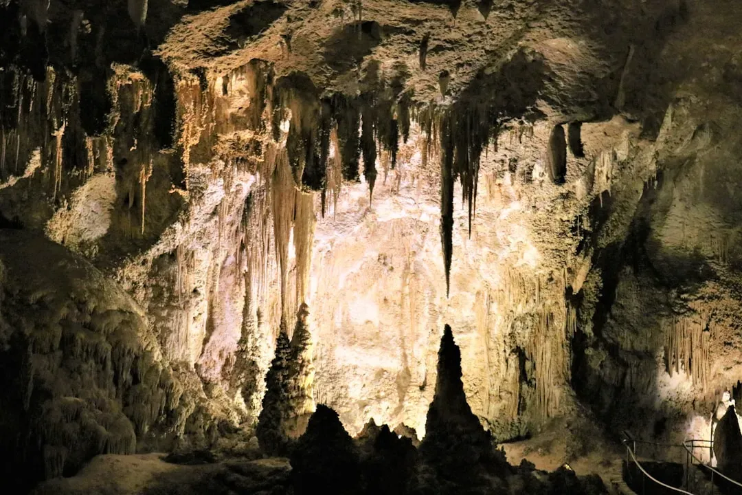 Carlsbad Caverns: An Underground World Etched by Acid (Image Credits: Unsplash)