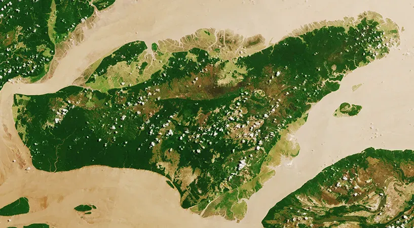 The Flying Rivers: An Invisible Wonder Above the Forest (Image Credits: Wikimedia)