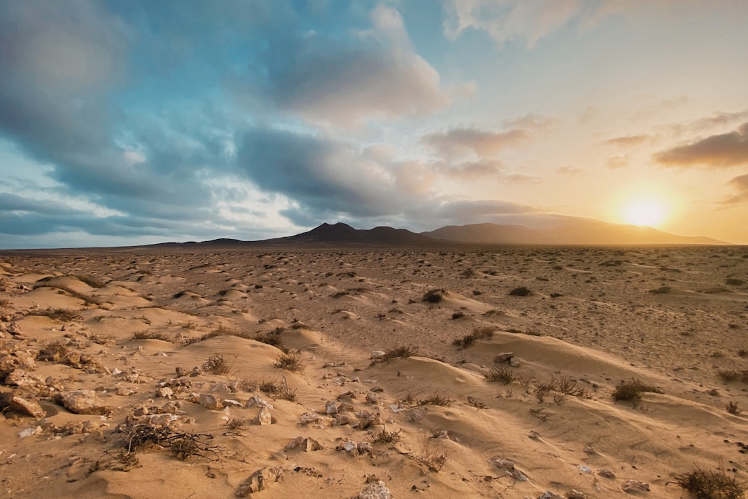 Why It Matters (Image Credits: Unsplash)