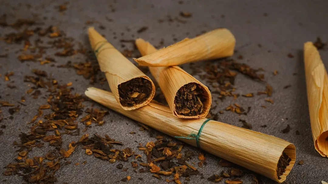 Ceremonial Tobacco and Sacred Smoke (Image Credits: Unsplash)