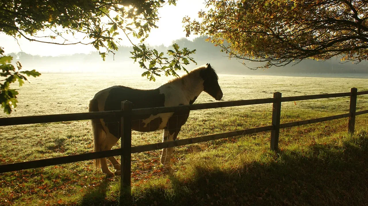 9. Horses: Standing Sleepers With a Built-In Lock (Image Credits: Pixabay)
