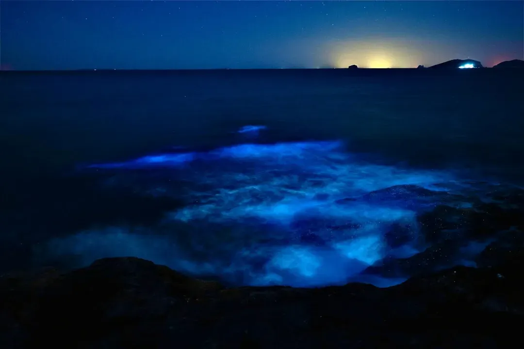 12. Bioluminescent Seafloor “Patches” With No Clear Source Animal (Image Credits: Unsplash)