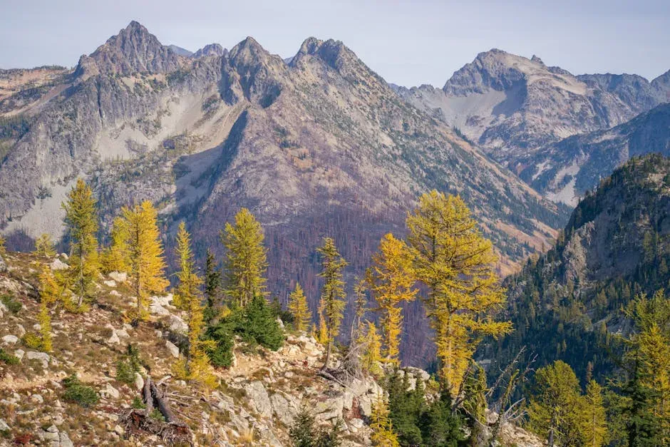 North Cascades Backcountry, Washington (Image Credits: Pexels)