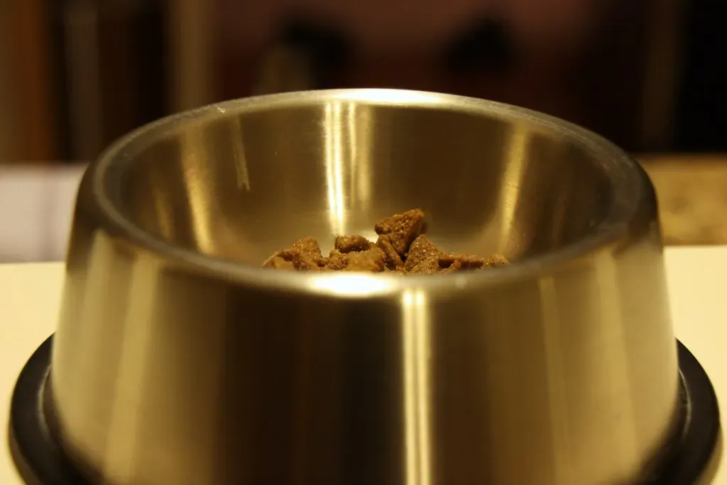 Pet Food and Water Bowls (Image Credits: Flickr)