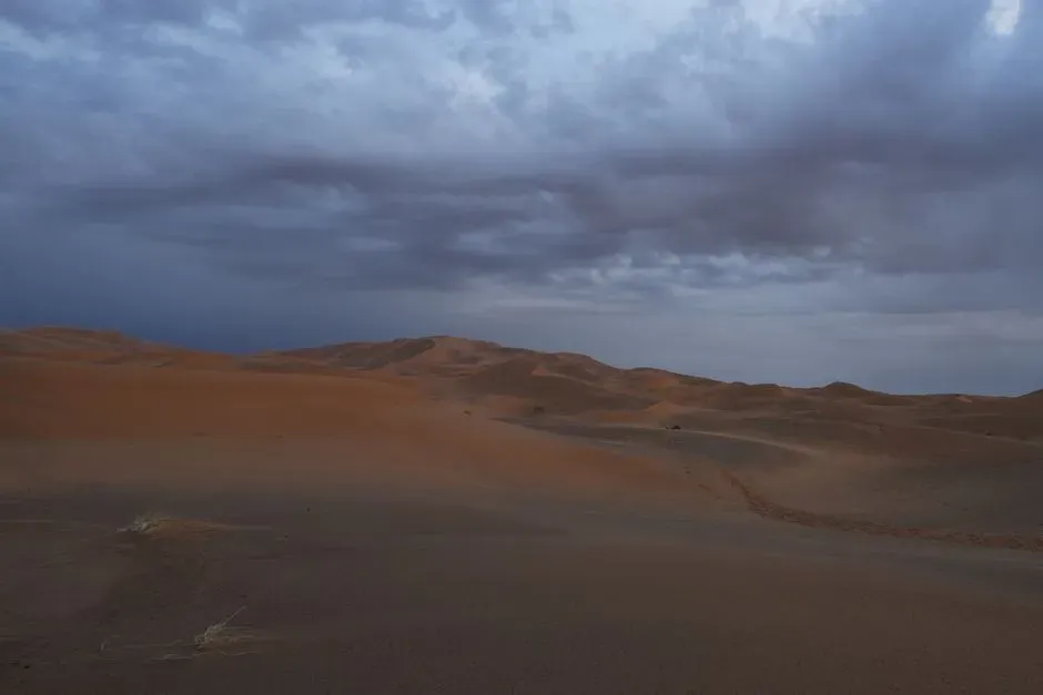 Orbital Rhythms: How Subtle Wobbles in Earth’s Path Green the Desert (Image Credits: Pexels)