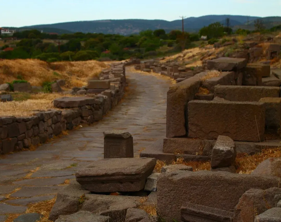 Intercontinental Links: From the Arctic to the Tropics (Image Credits: Unsplash)