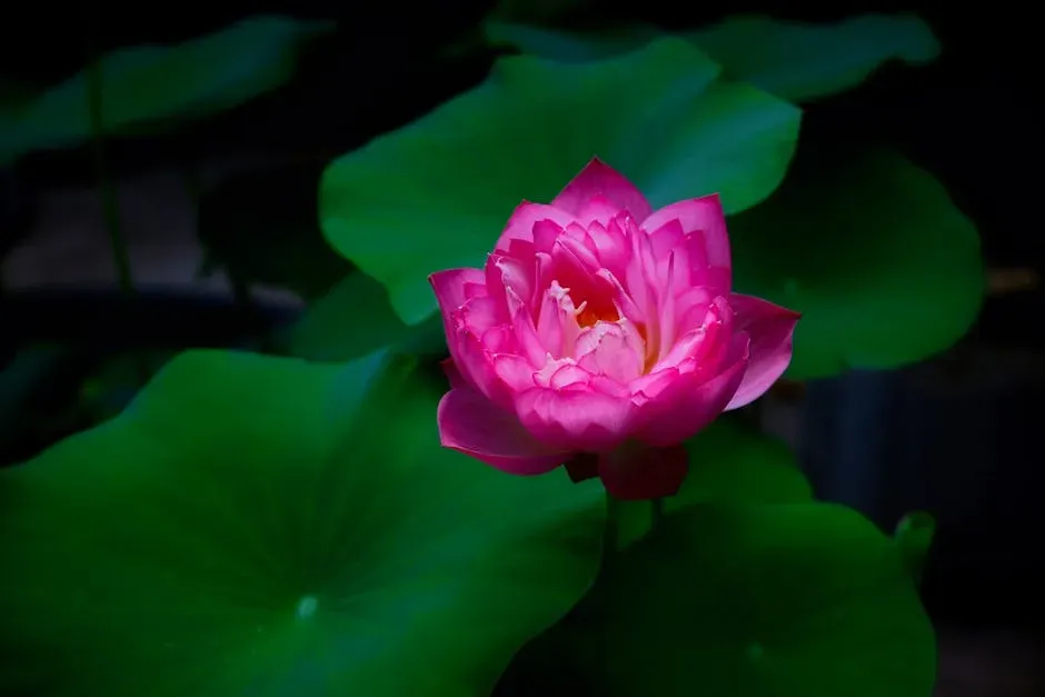 3. The Lotus Effect: When Leaves Teach Walls to Clean Themselves (Image Credits: Pexels)