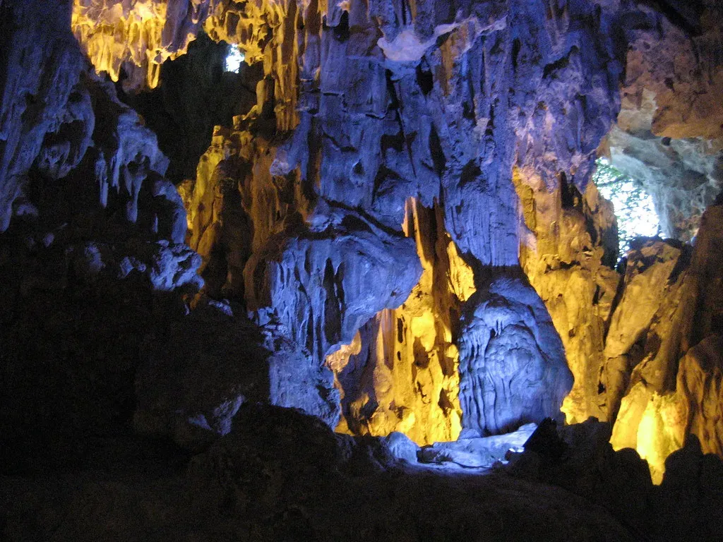 Why Protecting Invisible Species Is a Moral Choice (Arian Zwegers, Flickr, CC BY 2.0)